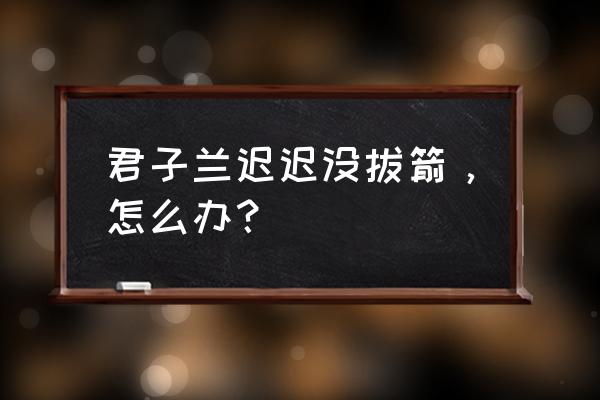 腐熟的橡树叶适合种什么 君子兰迟迟没拔箭，怎么办？