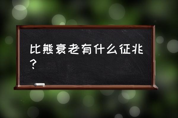 老年人呼吸系统老化的表现 比熊衰老有什么征兆？