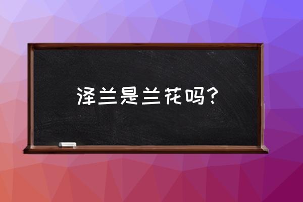 泽兰主治什么病最好 泽兰是兰花吗？