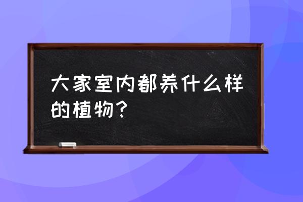 室内花草栽培 大家室内都养什么样的植物？