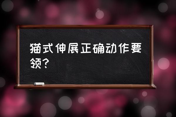 上肢拉伸的正确方法 猫式伸展正确动作要领？