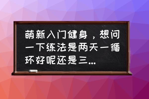 iphone健身目标修改 萌新入门健身，想问一下练法是两天一循环好呢还是三天一循环好？