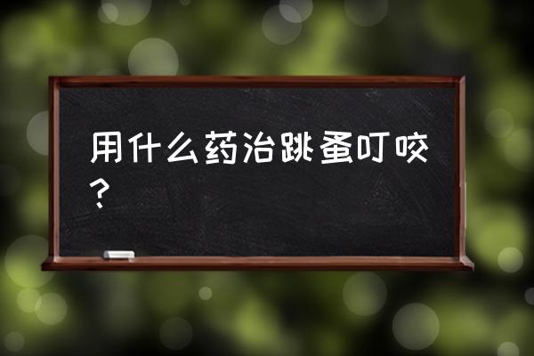 家里常有跳蚤咬用什么药消除 用什么药治跳蚤叮咬？