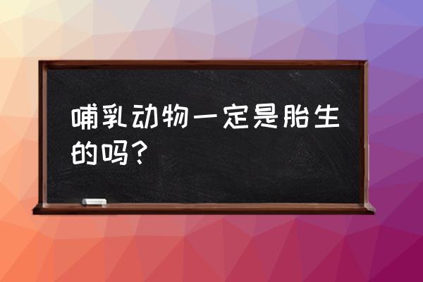 卵生动物与哺乳动物的区别 哺乳动物一定是胎生的吗？