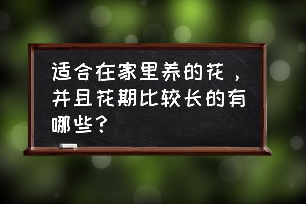 冬天室内花卉有哪些易活 适合在家里养的花，并且花期比较长的有哪些？