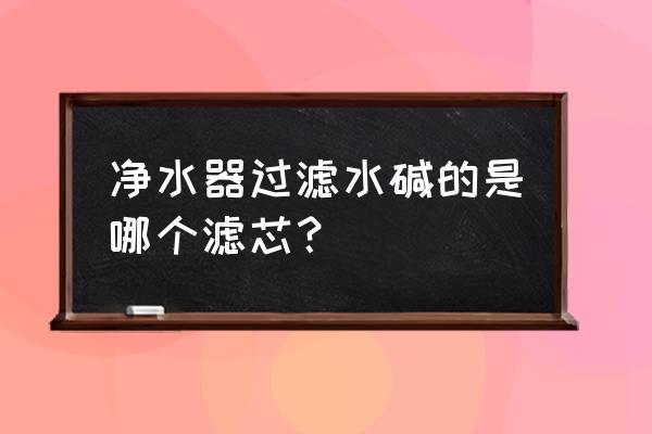 净水机水有水碱 净水器过滤水碱的是哪个滤芯？