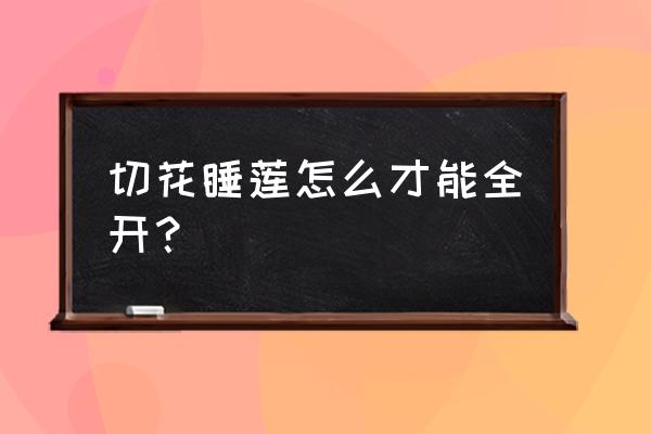 睡莲怎么促进开花 切花睡莲怎么才能全开？