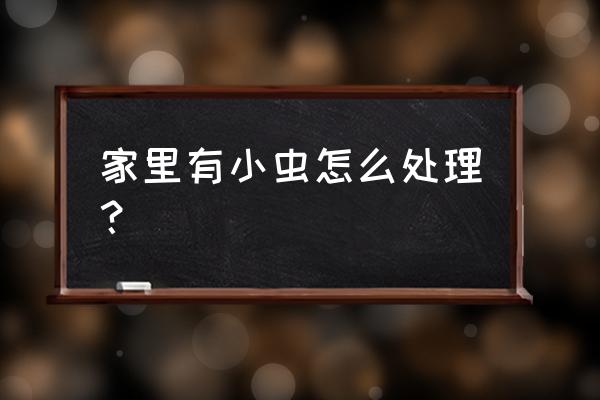 防止家中虫子的最好方法 家里有小虫怎么处理？