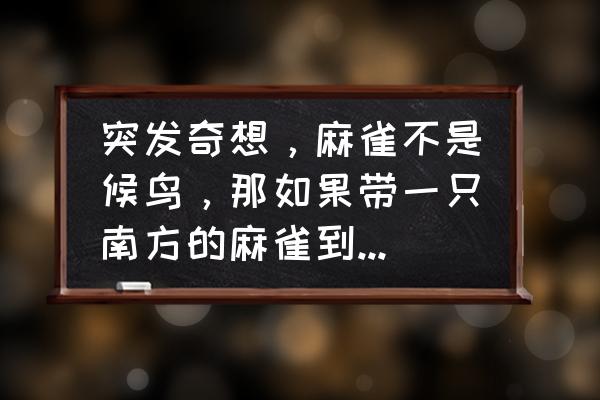 所有鸟类都有适应飞行的特征吗 突发奇想，麻雀不是候鸟，那如果带一只南方的麻雀到北方来，它能适应北方的气候吗？