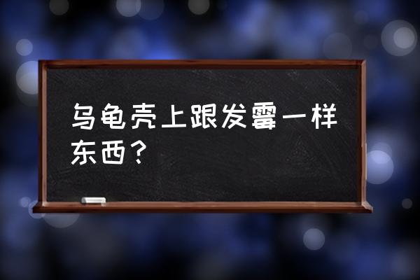 水池旁边发霉处理妙招 乌龟壳上跟发霉一样东西？