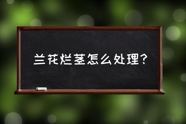 兰花根腐病用什么药好得快 兰花烂茎怎么处理？