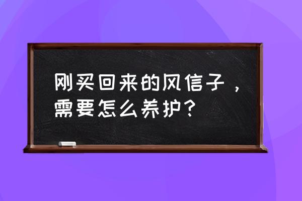 土培风信子冬天怎么养 刚买回来的风信子，需要怎么养护？