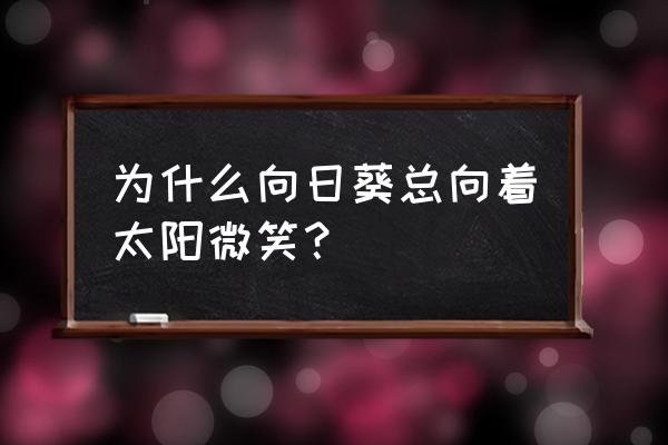 为什么向日葵要跟着太阳转呢 为什么向日葵总向着太阳微笑？