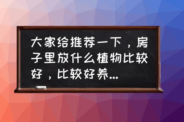 适合夏天的室内盆栽 大家给推荐一下，房子里放什么植物比较好，比较好养活的那种？