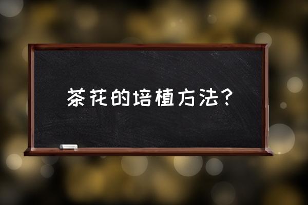 山茶花冬季的养殖方法和注意事项 茶花的培植方法？