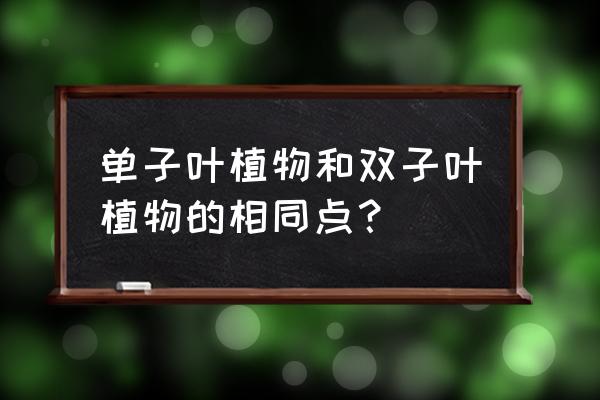 什么是双子叶植物和单子叶植物 单子叶植物和双子叶植物的相同点？