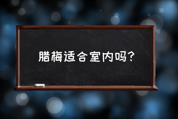 腊梅花怎么养在家里 腊梅适合室内吗？