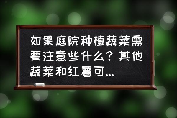 夏天适合种在盆里的菜 如果庭院种植蔬菜需要注意些什么？其他蔬菜和红薯可以同时种植吗？