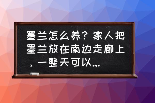 墨兰根冻坏了怎么办 墨兰怎么养？家人把墨兰放在南边走廊上，一整天可以见到阳光，这样养合适吗？