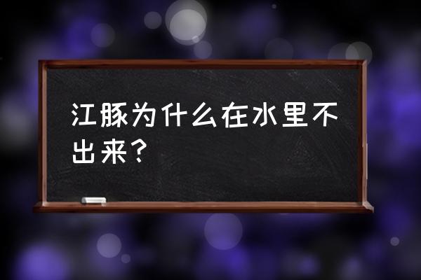 海豚为什么总喜欢追逐着轮船游动 江豚为什么在水里不出来？