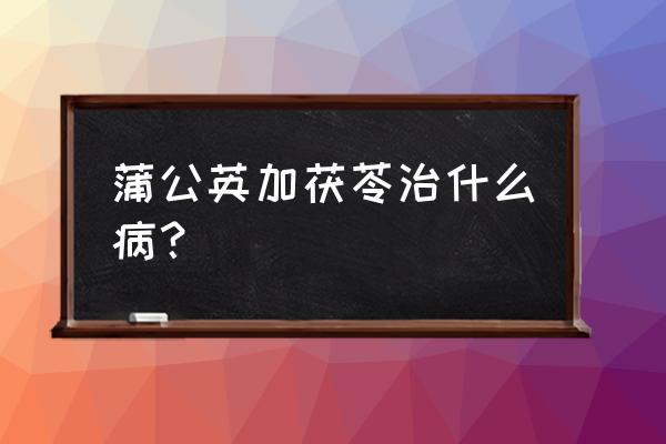 婆婆丁怎么吃去寒性 蒲公英加茯苓治什么病？