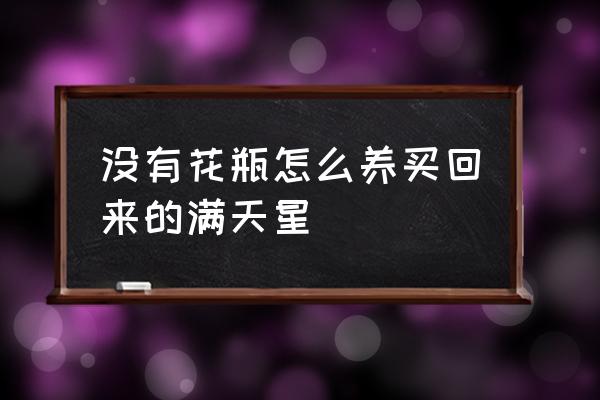 买来的满天星怎么养比较好图文 没有花瓶怎么养买回来的满天星