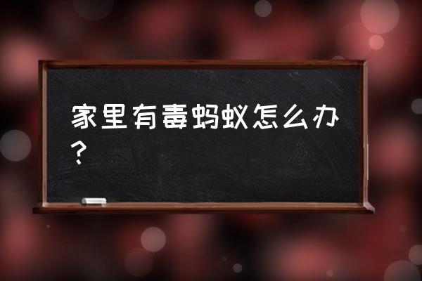 解决家里蚂蚁的妙招 家里有毒蚂蚁怎么办？