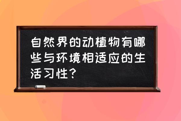 生物进化与环境的关系的说法 自然界的动植物有哪些与环境相适应的生活习性？