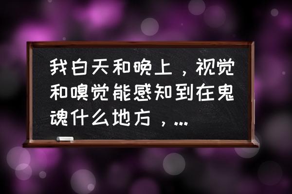 视觉感知的内容有哪些 我白天和晚上，视觉和嗅觉能感知到在鬼魂什么地方，我人看见鬼魂的时候我两只眼睛皮跳的很快，额头发胀？