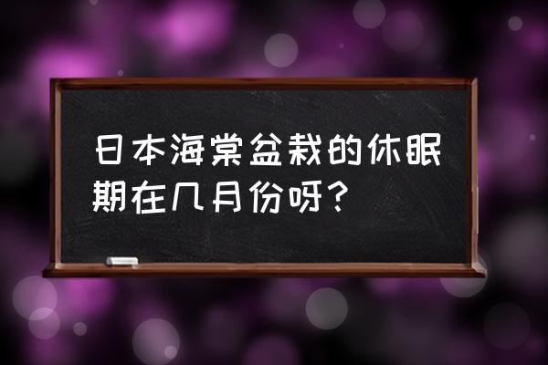 日本海棠怎么养 日本海棠盆栽的休眠期在几月份呀？