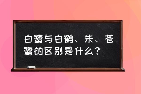 白鹭的习性和特点 白鹭与白鹤、朱、苍鹭的区别是什么？