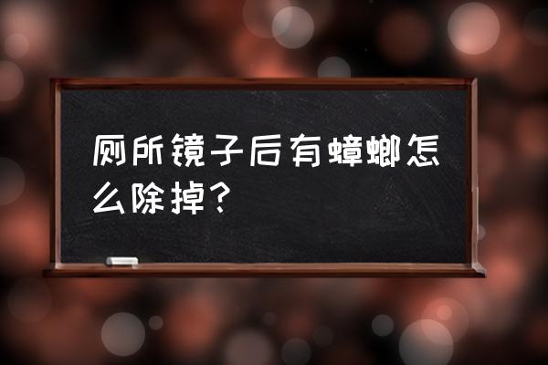 卫生间有蟑螂怎么彻底消灭 厕所镜子后有蟑螂怎么除掉？