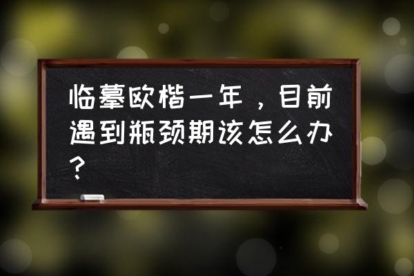 柳楷每天必练100个字 临摹欧楷一年，目前遇到瓶颈期该怎么办？