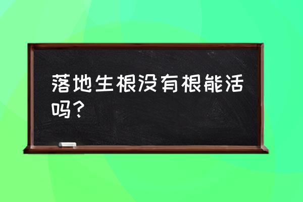 没有根的植物怎样快速生根 落地生根没有根能活吗？