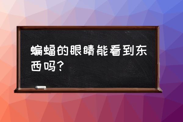 蝙蝠的眼睛在晚上看得更清楚吗 蝙蝠的眼睛能看到东西吗？