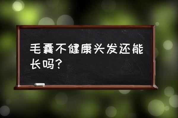 黑芝麻能恢复坏死毛囊吗 毛囊不健康头发还能长吗？