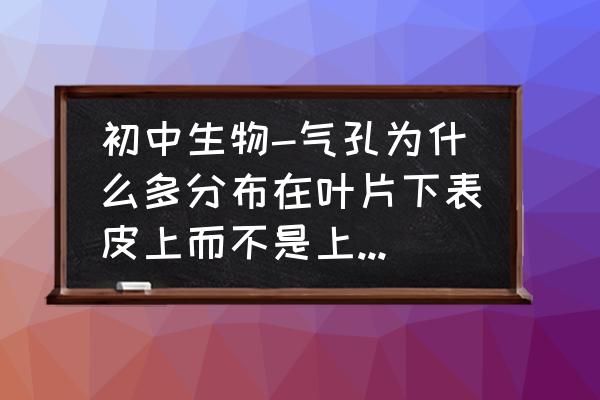 为什么植物下表皮气孔多 初中生物-气孔为什么多分布在叶片下表皮上而不是上表皮上呢？