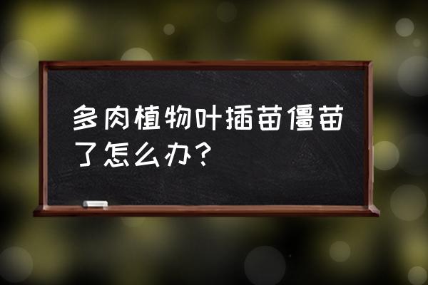 十种多肉不能叶插 多肉植物叶插苗僵苗了怎么办？