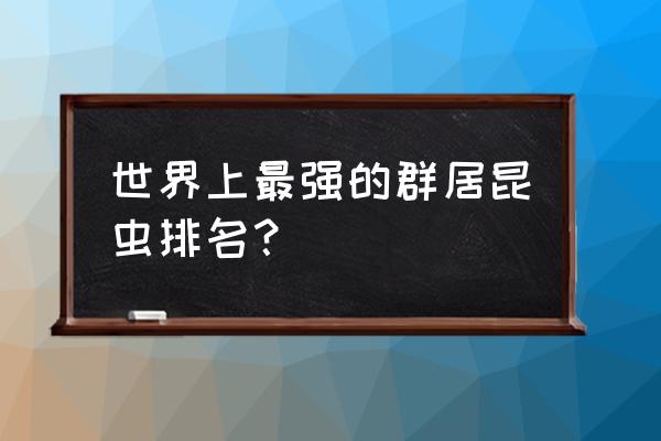 甲虫展翅的标本怎么做 世界上最强的群居昆虫排名？