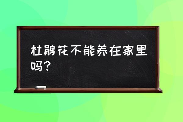 花叶冷水花适合养在家里吗 杜鹃花不能养在家里吗？