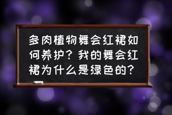 多肉怎么养着就没颜色了 多肉植物舞会红裙如何养护？我的舞会红裙为什么是绿色的？