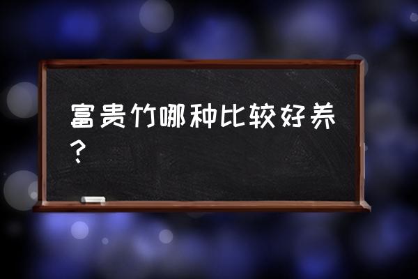 富贵竹怎样长得快不烂根 富贵竹哪种比较好养？