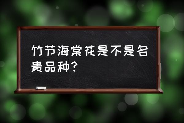 十大名贵品种海棠 竹节海棠花是不是名贵品种？