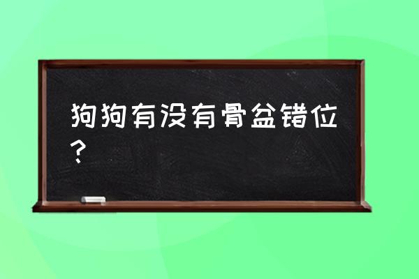 骨盆错位最快矫正法 狗狗有没有骨盆错位？