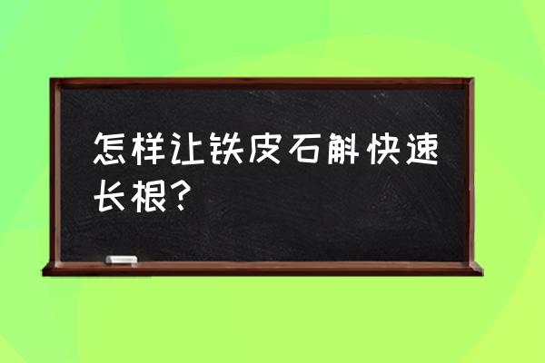 铁皮石斛怎么快速生根发芽 怎样让铁皮石斛快速长根？