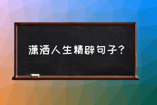 潇洒人生完整版 潇洒人生精辟句子？