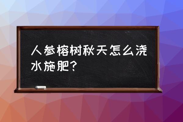 人参榕树盆景怎么养 人参榕树秋天怎么浇水施肥？