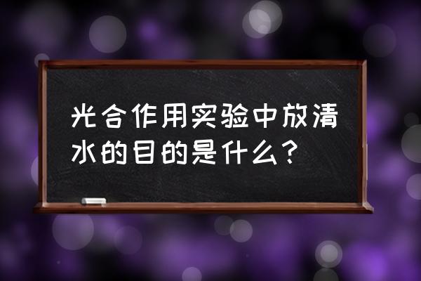 水是光合作用的必要条件吗 光合作用实验中放清水的目的是什么？