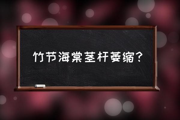 哪里能买到竹节海棠 竹节海棠茎杆萎缩？