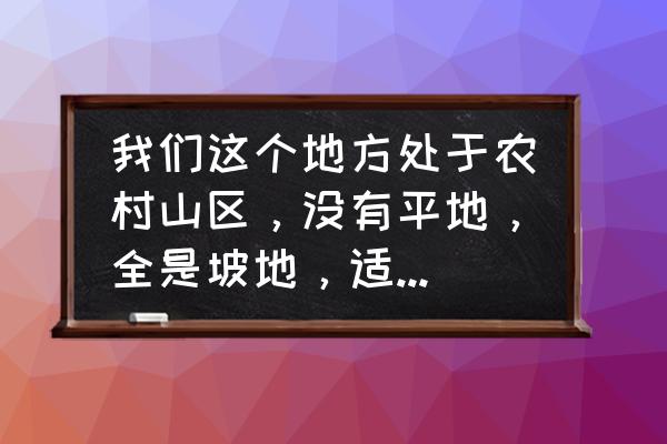 五行缺水适合什么行业 我们这个地方处于农村山区，没有平地，全是坡地，适合发展什么产业？